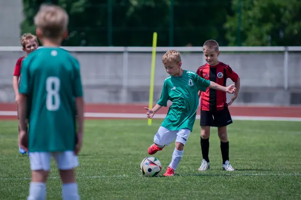 JUNIOR NORTH CUP MICRO 2026, 6. 6. 2026