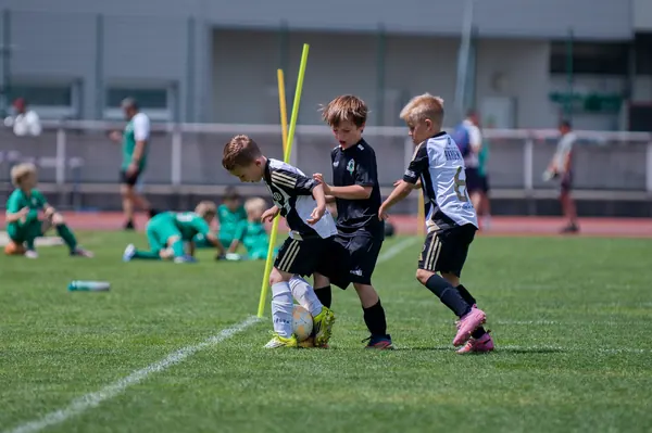 JUNIOR NORTH CUP MICRO 2026, 6. 6. 2026