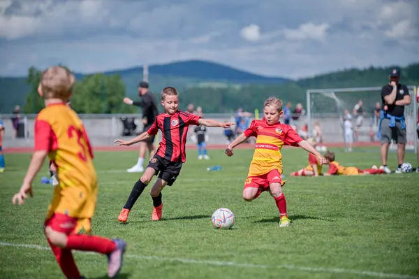 JUNIOR NORTH CUP MICRO 2026, 6. 6. 2026