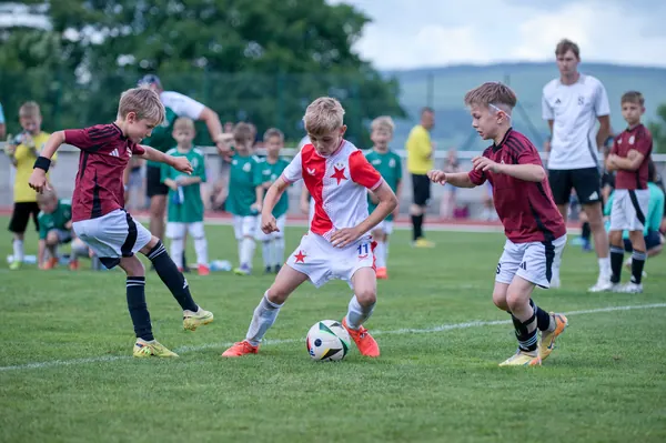 JUNIOR NORTH CUP MICRO 2026, 6. 6. 2026