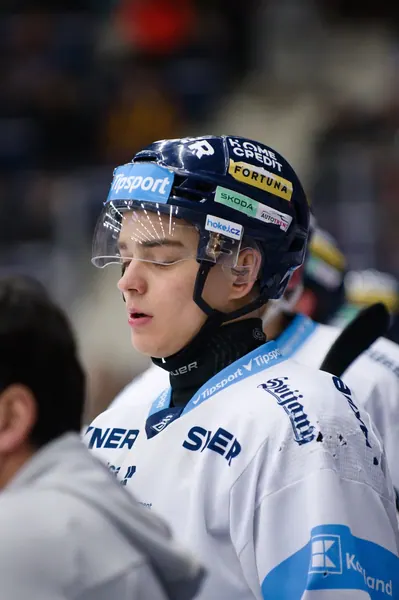 BTL – Plzeň, 9. 1. 2026