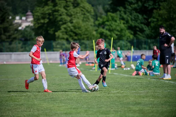 JUNIOR NORTH CUP MICRO 2026, 6. 6. 2026