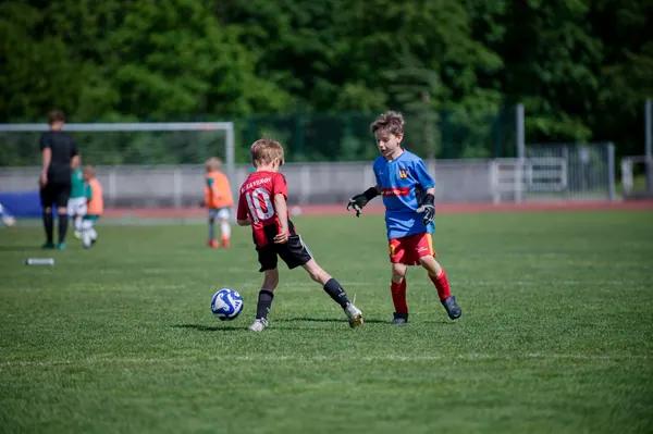JUNIOR NORTH CUP MICRO 2026, 6. 6. 2026