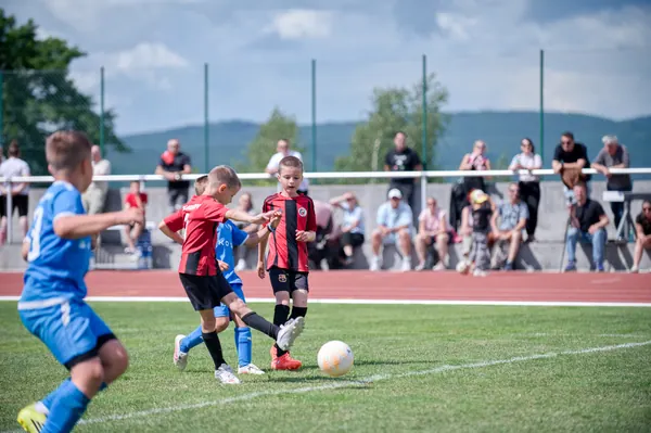 JUNIOR NORTH CUP MICRO 2026, 6. 6. 2026