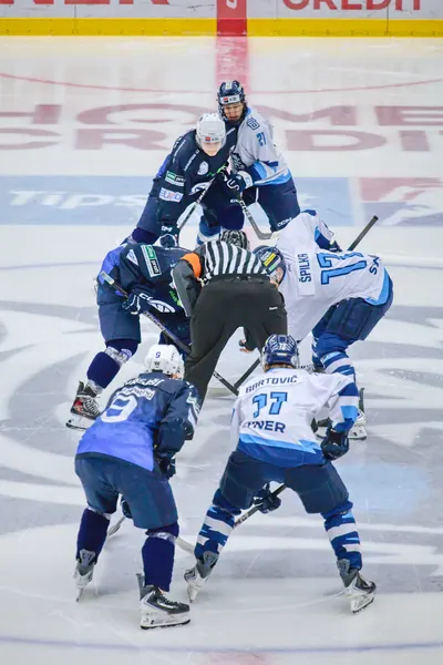 U20: BTL – Plzeň, 22. 11. 2025