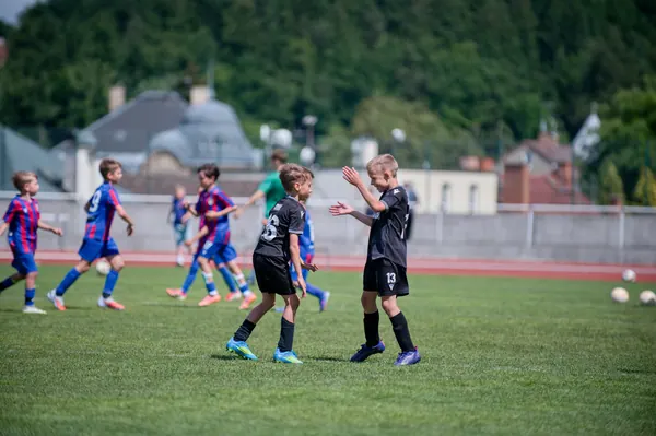 JUNIOR NORTH CUP MICRO 2026, 6. 6. 2026