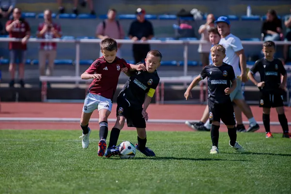 JUNIOR NORTH CUP MICRO 2026, 6. 6. 2026