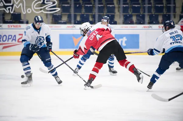 U20: BTL – Pardubice, 24. 1. 2026