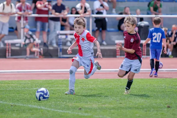 JUNIOR NORTH CUP MICRO 2026, 6. 6. 2026
