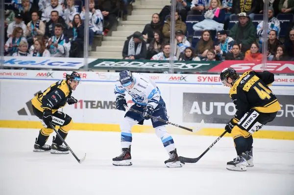 BTL – Litvínov, 18. 1. 2026
