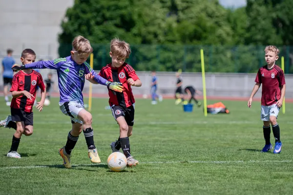 JUNIOR NORTH CUP MICRO 2026, 6. 6. 2026