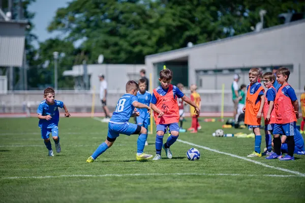 JUNIOR NORTH CUP MICRO 2026, 6. 6. 2026