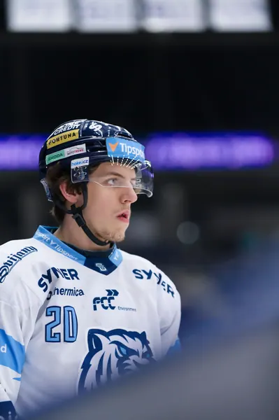 BTL – Dresden, 19. 2. 2026