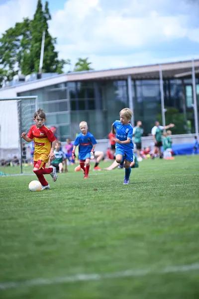 U8 TURNAJ, 6. 6. 2026