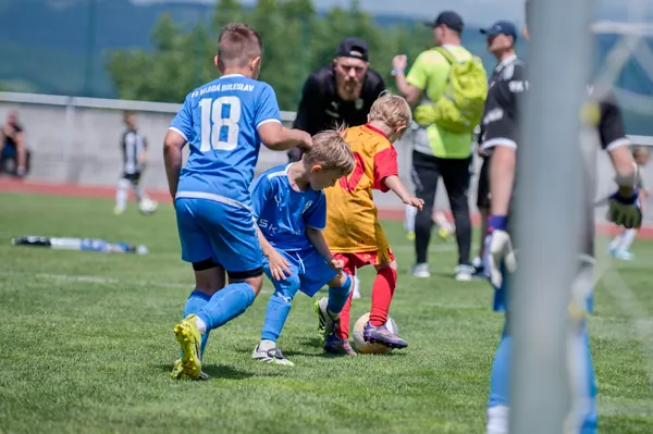 JUNIOR NORTH CUP MICRO 2026, 6. 6. 2026