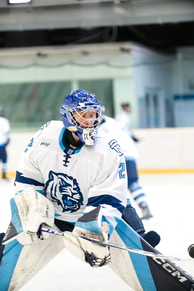 U17: BTL – Sparta Praha, 29. 3. 2026