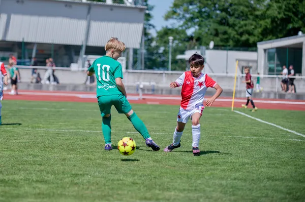 JUNIOR NORTH CUP MICRO 2026, 6. 6. 2026