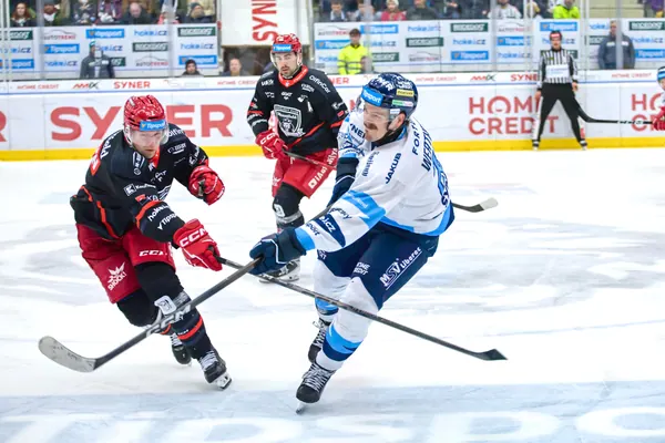 BTL – Hradec Králové, 23. 11. 2025
