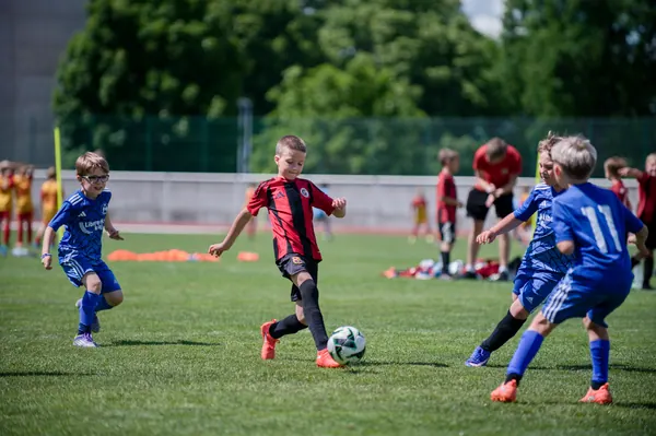 JUNIOR NORTH CUP MICRO 2026, 6. 6. 2026