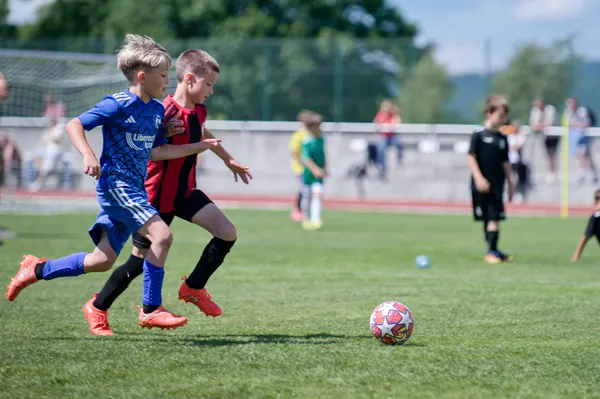 JUNIOR NORTH CUP MICRO 2026, 6. 6. 2026
