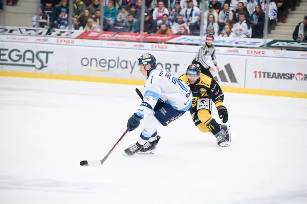 BTL – Litvínov, 18. 1. 2026