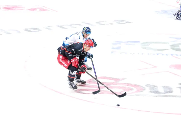 BTL – Hradec Králové, 23. 11. 2025