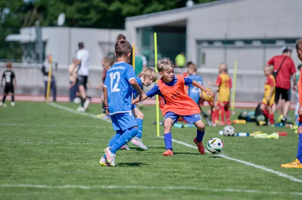JUNIOR NORTH CUP MICRO 2026, 6. 6. 2026