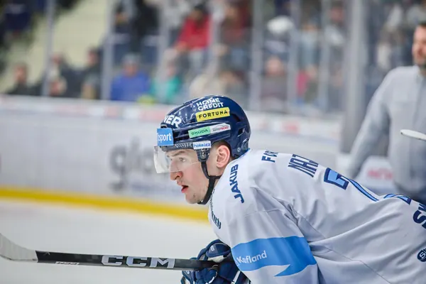 BTL – Hradec Králové, 23. 11. 2025