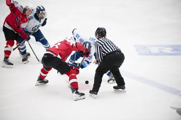 U20: BTL – Pardubice, 24. 1. 2026