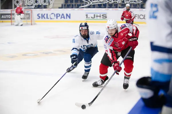 U20: BTL – Pardubice, 24. 1. 2026
