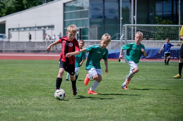 JUNIOR NORTH CUP MICRO 2026, 6. 6. 2026