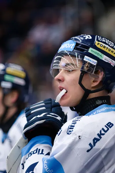 BTL – Plzeň, 9. 1. 2026
