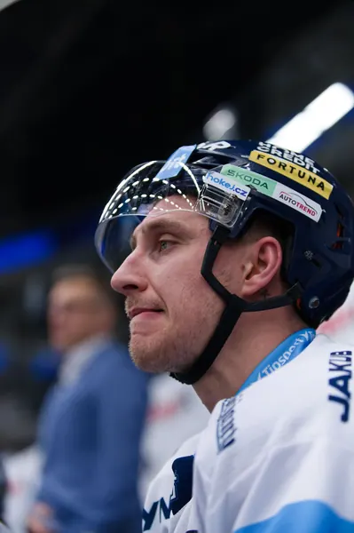 BTL – Dresden, 19. 2. 2026