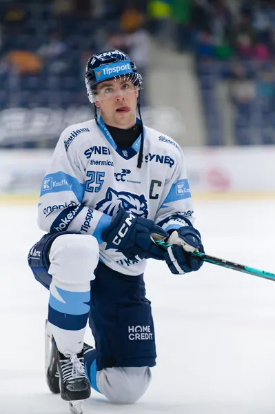 BTL – Dresden, 19. 2. 2026
