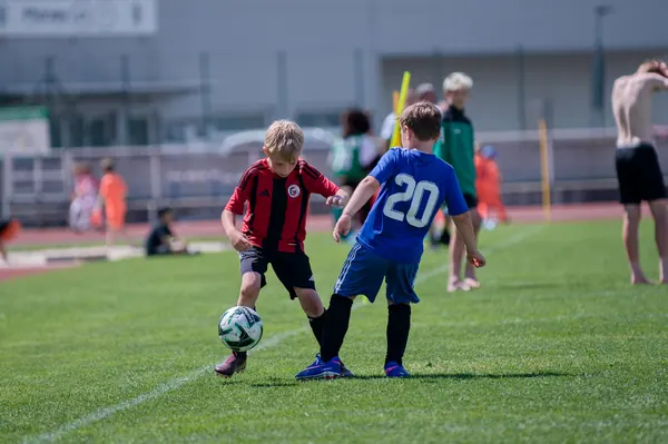JUNIOR NORTH CUP MICRO 2026, 6. 6. 2026