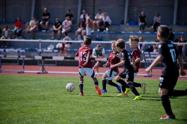 JUNIOR NORTH CUP MICRO 2026, 6. 6. 2026