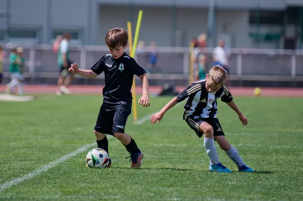 JUNIOR NORTH CUP MICRO 2026, 6. 6. 2026