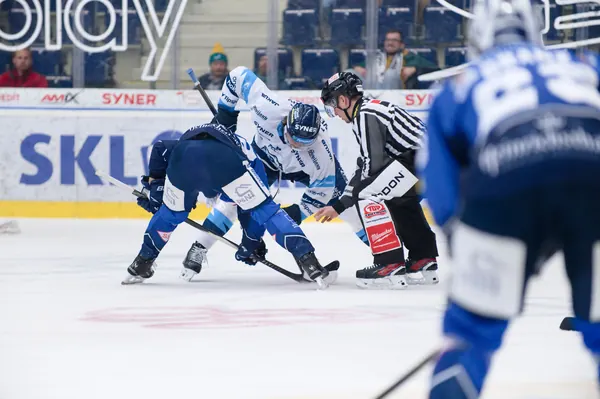 BTL – Dresden, 19. 2. 2026