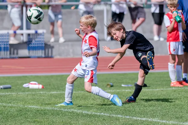 JUNIOR NORTH CUP MICRO 2026, 6. 6. 2026