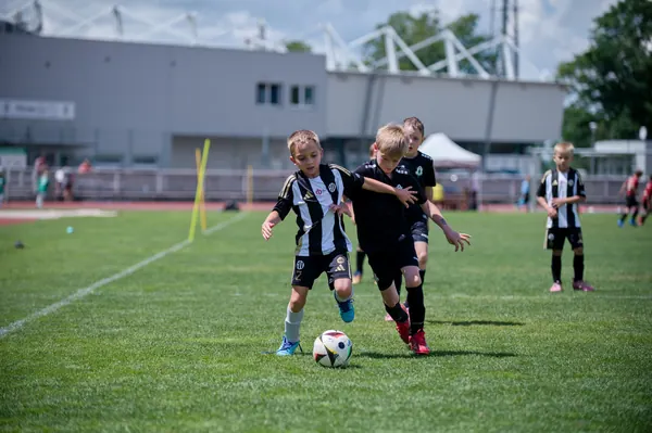 JUNIOR NORTH CUP MICRO 2026, 6. 6. 2026