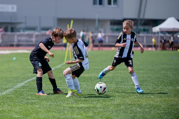 JUNIOR NORTH CUP MICRO 2026, 6. 6. 2026