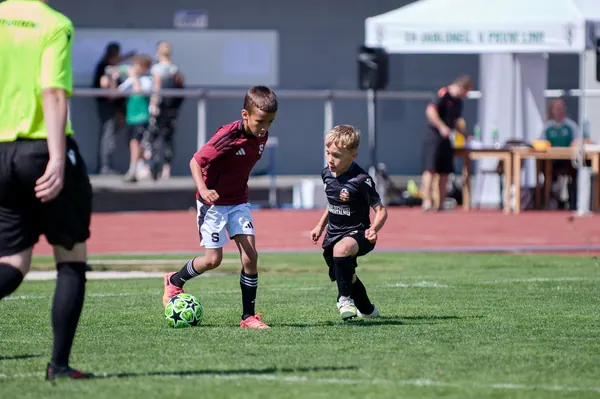 JUNIOR NORTH CUP MICRO 2026, 6. 6. 2026