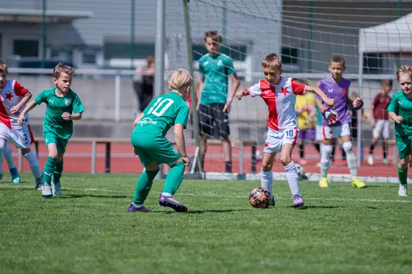 JUNIOR NORTH CUP MICRO 2026, 6. 6. 2026