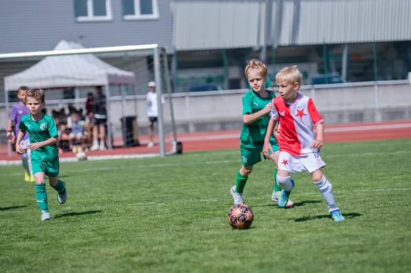 JUNIOR NORTH CUP MICRO 2026, 6. 6. 2026