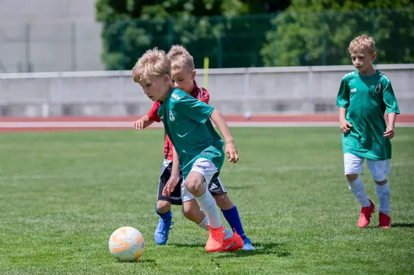 JUNIOR NORTH CUP MICRO 2026, 6. 6. 2026