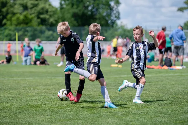 JUNIOR NORTH CUP MICRO 2026, 6. 6. 2026
