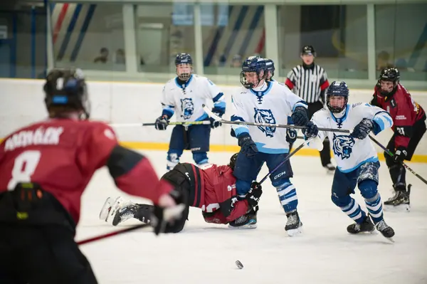 U17: BTL – Sparta Praha, 29. 3. 2026