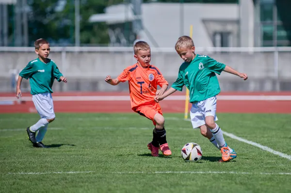 JUNIOR NORTH CUP MICRO 2026, 6. 6. 2026