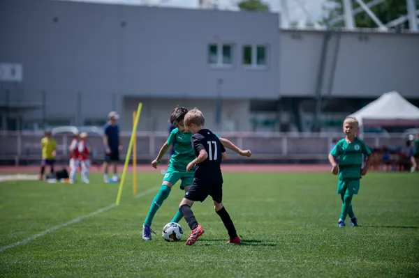 JUNIOR NORTH CUP MICRO 2026, 6. 6. 2026