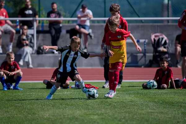 JUNIOR NORTH CUP MICRO 2026, 6. 6. 2026